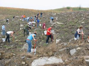 Photo: Green Forests Work