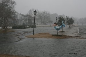 Norfolk, VA Photo: Wetlands Watch