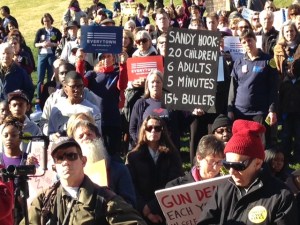 Gun Rallies Photo Jan 2015