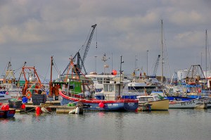 431589734_f05b6caaba_z