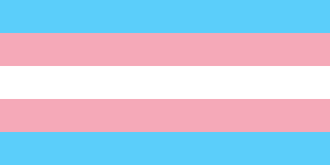 640px-Transgender_Pride_flag.svg