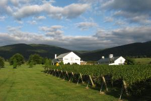 king-family-background