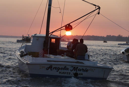 Trump Budget Chesapeake Bay