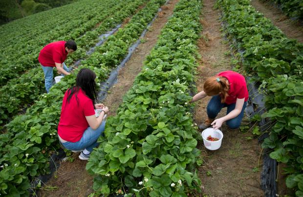 Ben Testa, Abby McDonough, Hanna Waring