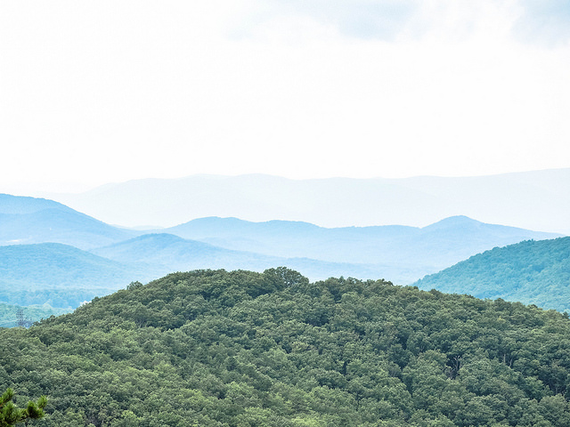 44177817321_af4c96dedd_z