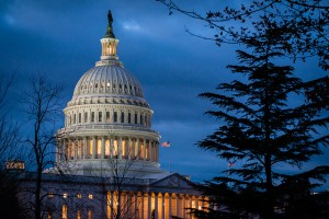 46185915012_d1ab999fed_z