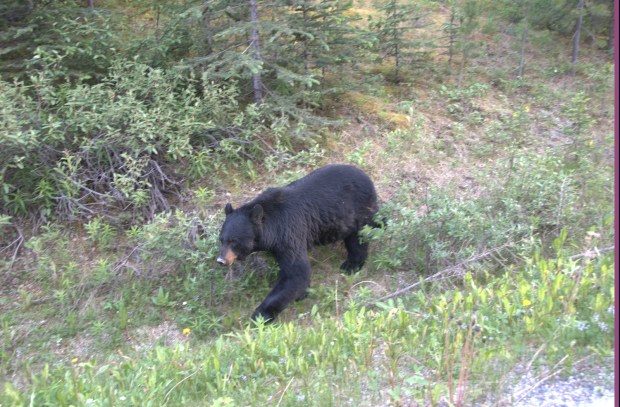 7509219452_430bbcb1e1_o