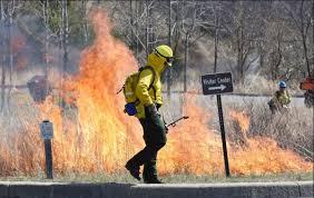 controlled_burn_too