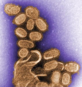1918-flu-virus