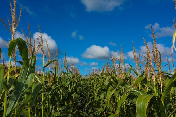 6202946609_981d172af5_b