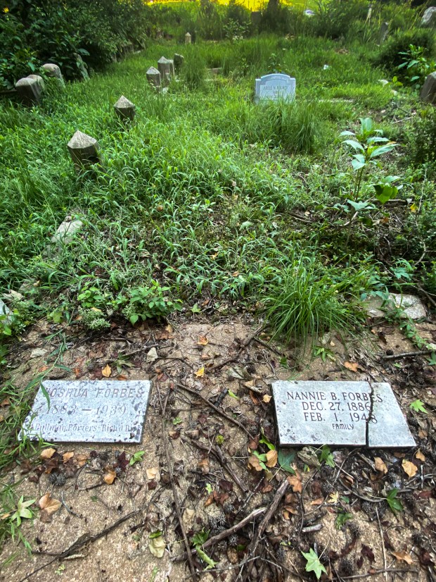 Joshua and Nannie Forbes plot edited